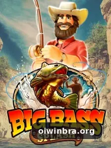 oiwinbra visual 3